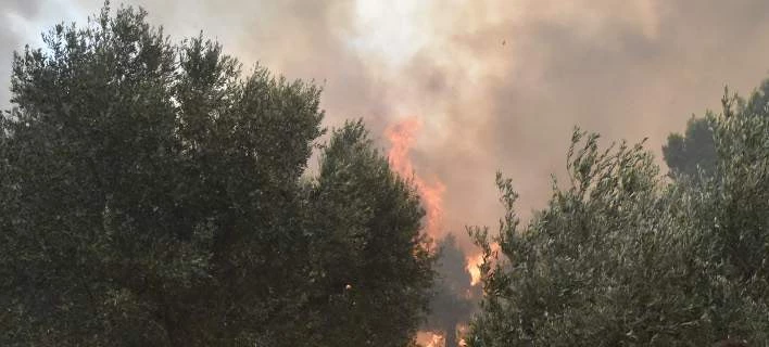 Μαίνεται η μεγάλη φωτιά στη Μάνη – Τραυματίστηκαν δύο πυροσβέστες